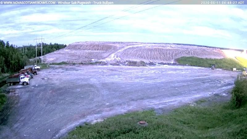 Windsor Salt