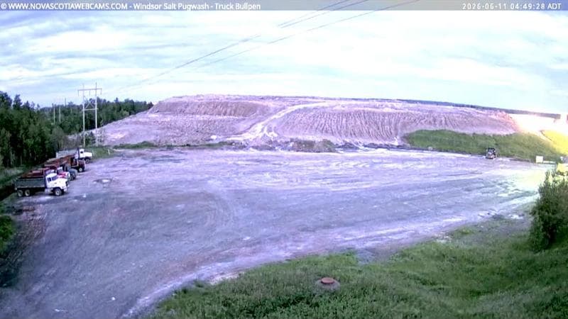 Windsor Salt