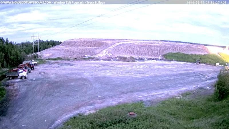 Windsor Salt