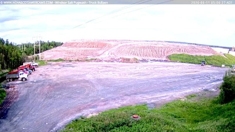 Windsor Salt
