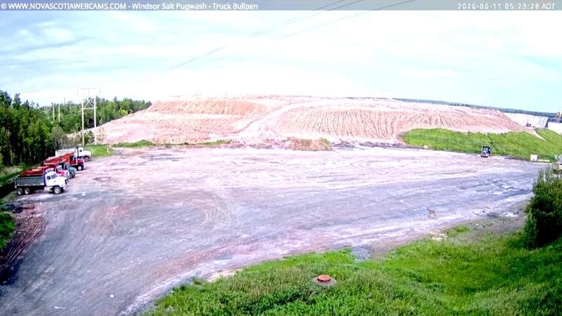 Windsor Salt