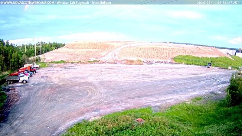 Windsor Salt