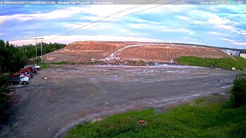 Windsor Salt