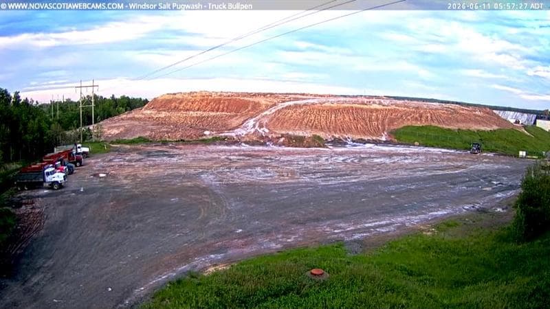 Windsor Salt