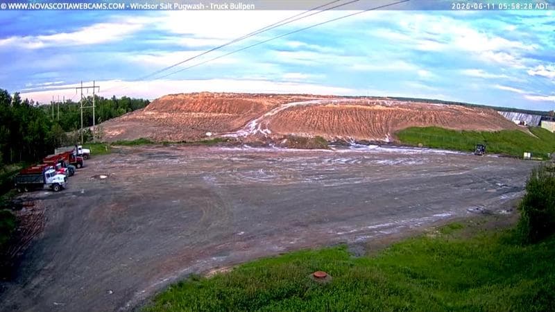Windsor Salt