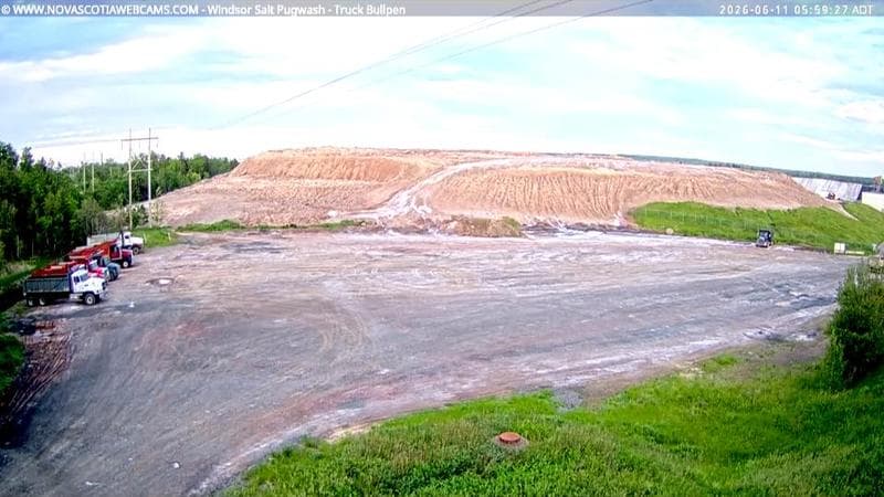 Windsor Salt