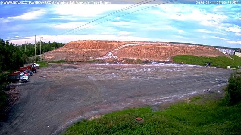 Windsor Salt