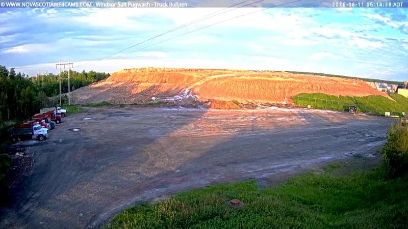 Windsor Salt