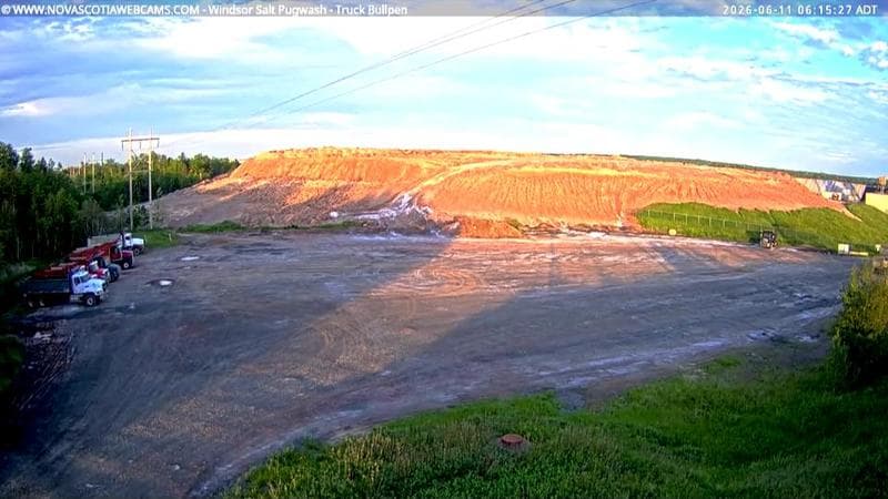 Windsor Salt