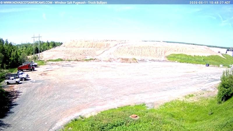 Windsor Salt