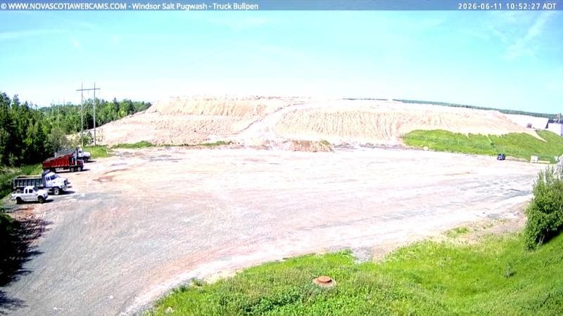 Windsor Salt