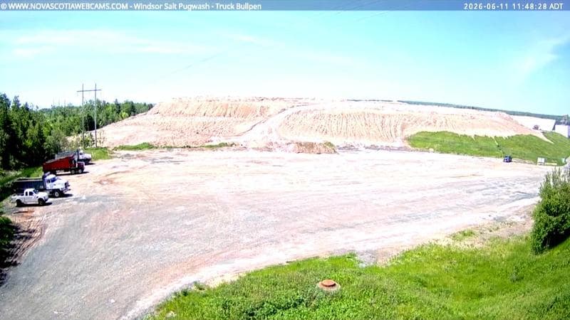 Windsor Salt