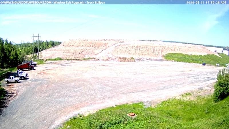 Windsor Salt