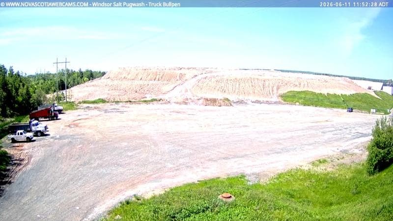 Windsor Salt
