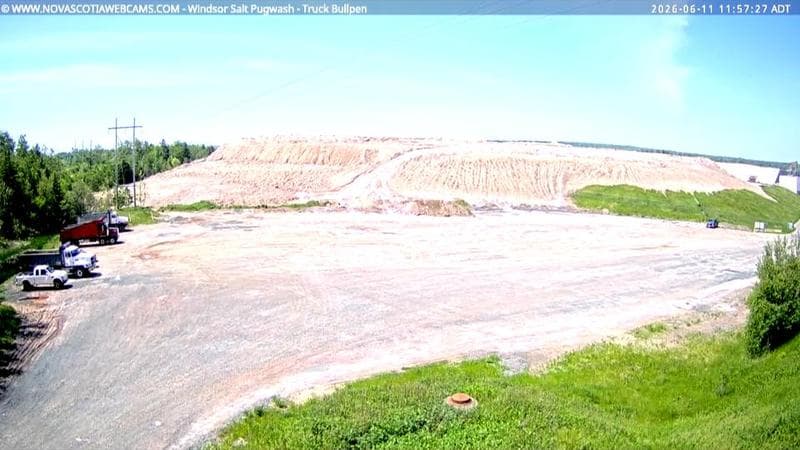 Windsor Salt