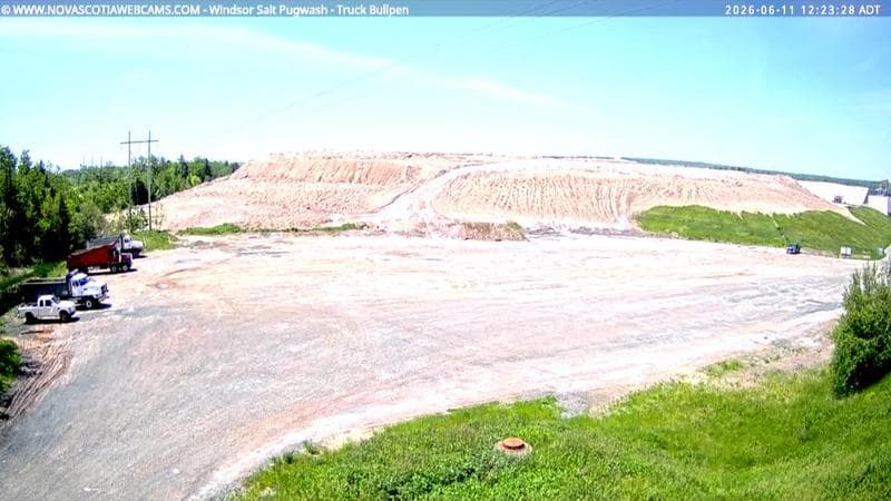 Windsor Salt