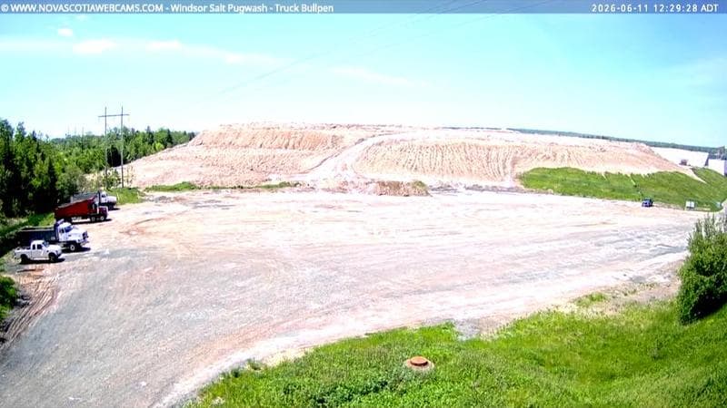 Windsor Salt