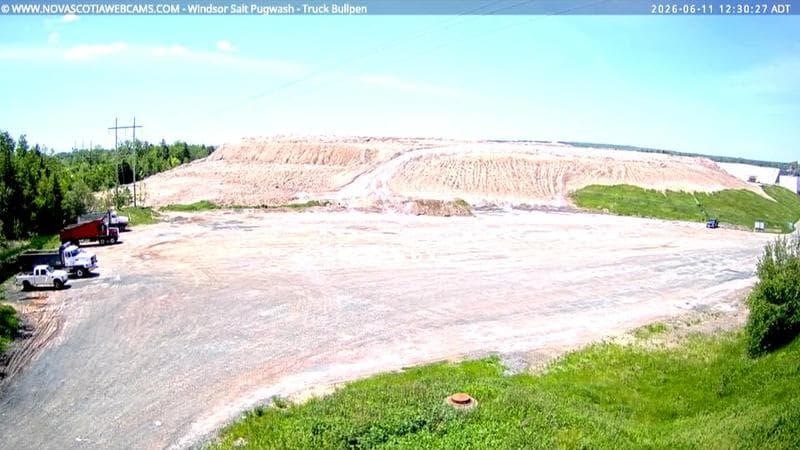 Windsor Salt