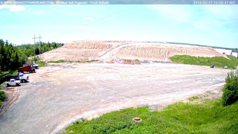 Windsor Salt
