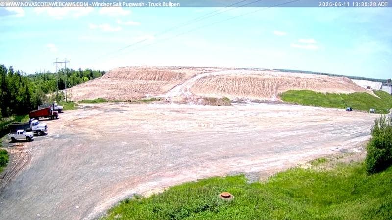 Windsor Salt