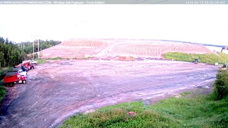 Windsor Salt