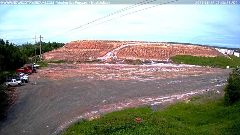 Windsor Salt