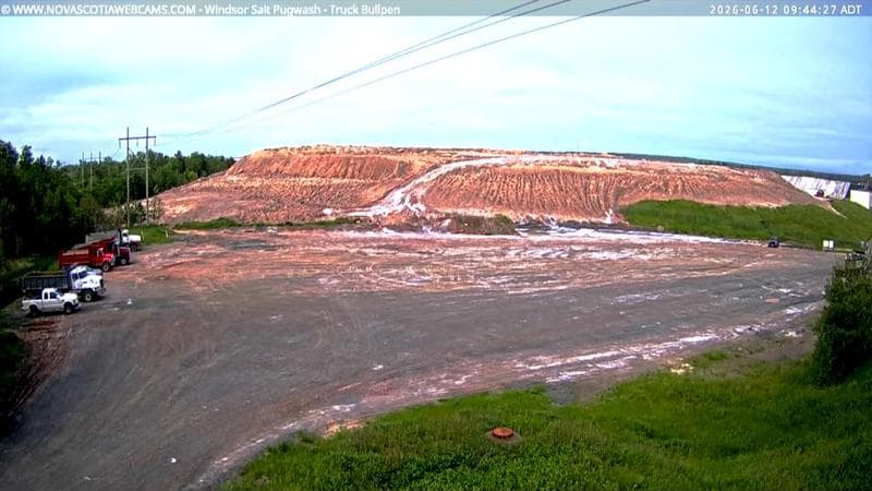 Windsor Salt
