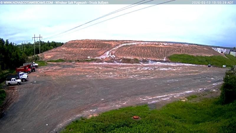 Windsor Salt