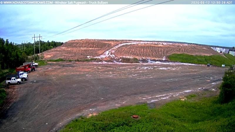 Windsor Salt
