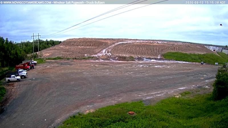 Windsor Salt