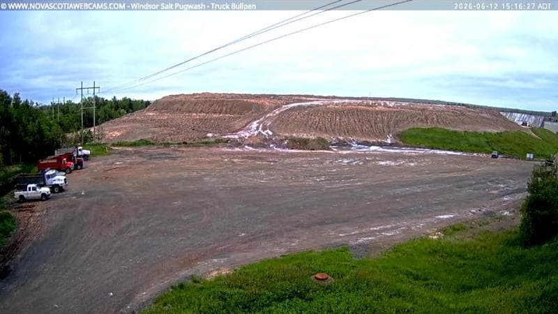 Windsor Salt