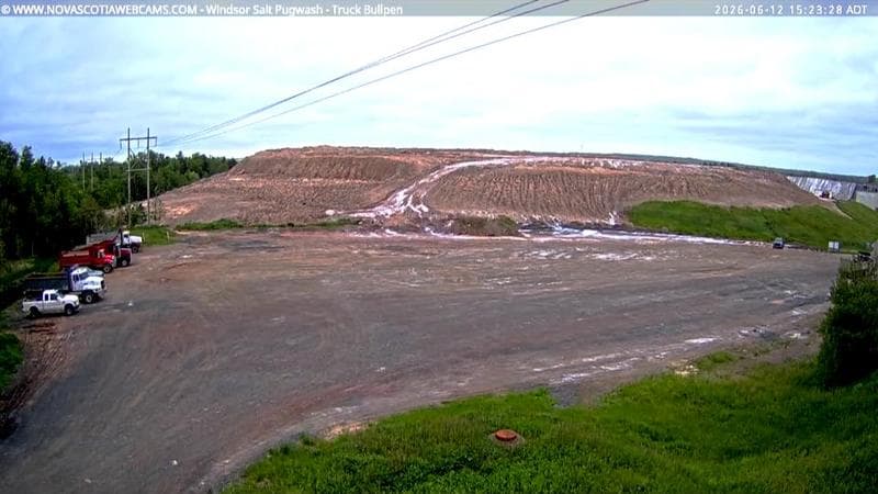 Windsor Salt