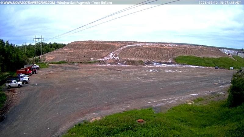 Windsor Salt