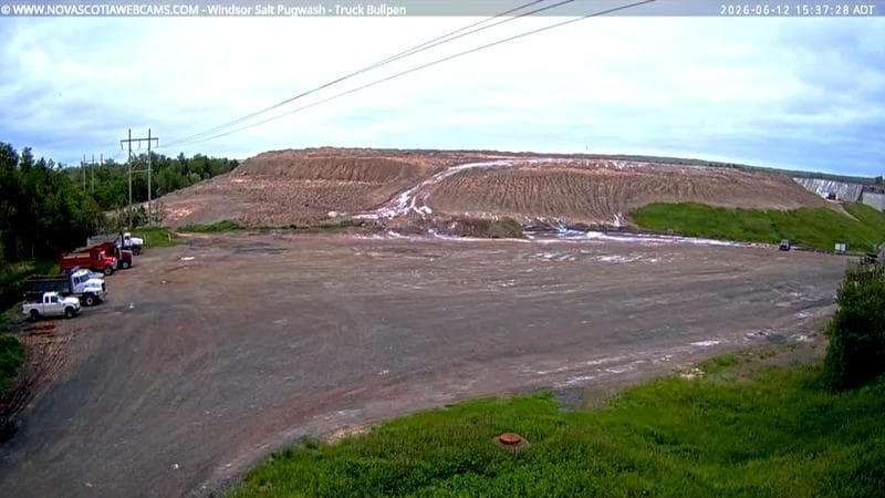 Windsor Salt