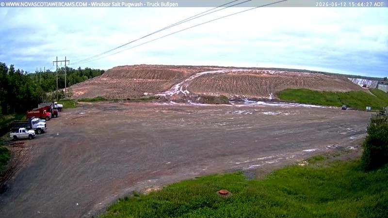 Windsor Salt
