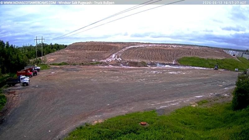 Windsor Salt