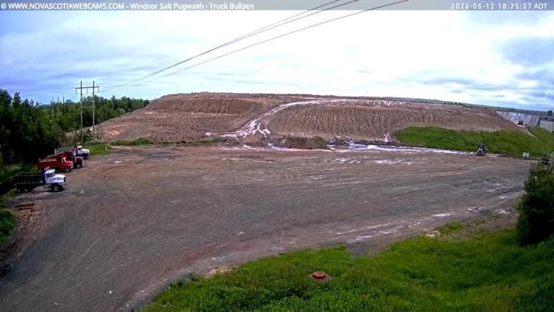 Windsor Salt