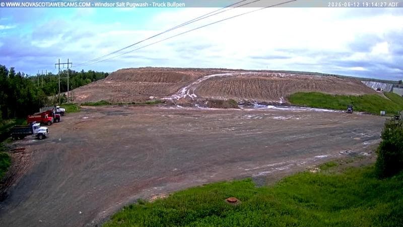 Windsor Salt
