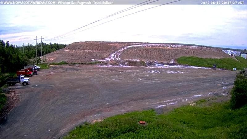 Windsor Salt