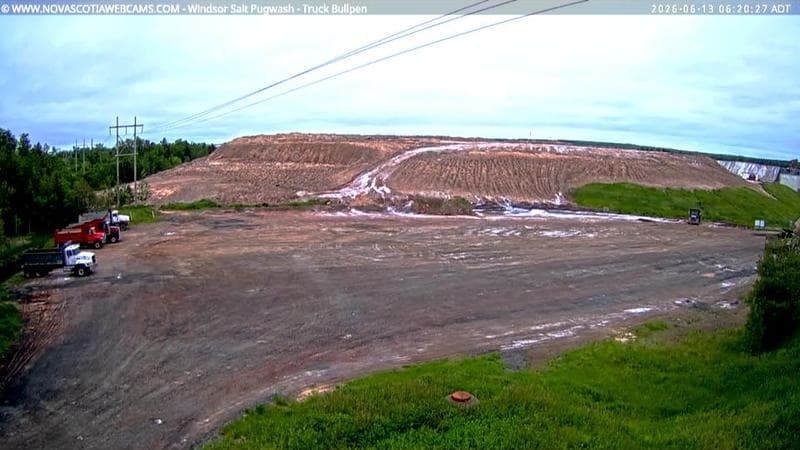 Windsor Salt