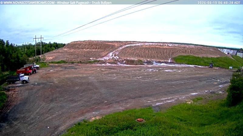 Windsor Salt