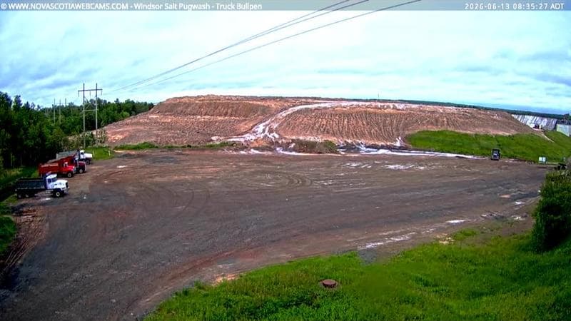 Windsor Salt