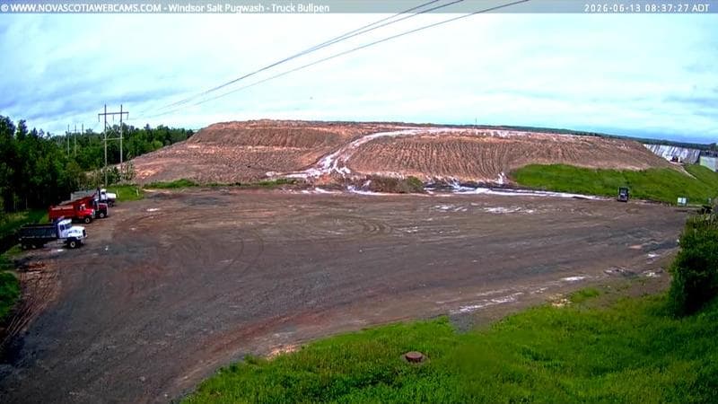 Windsor Salt