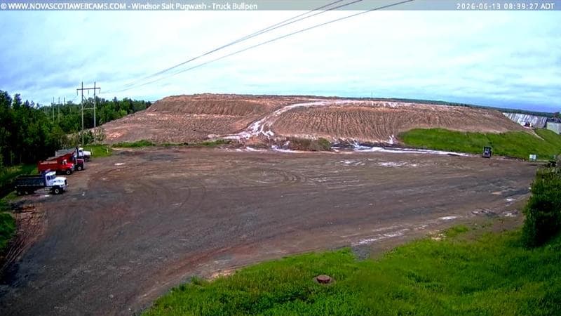 Windsor Salt