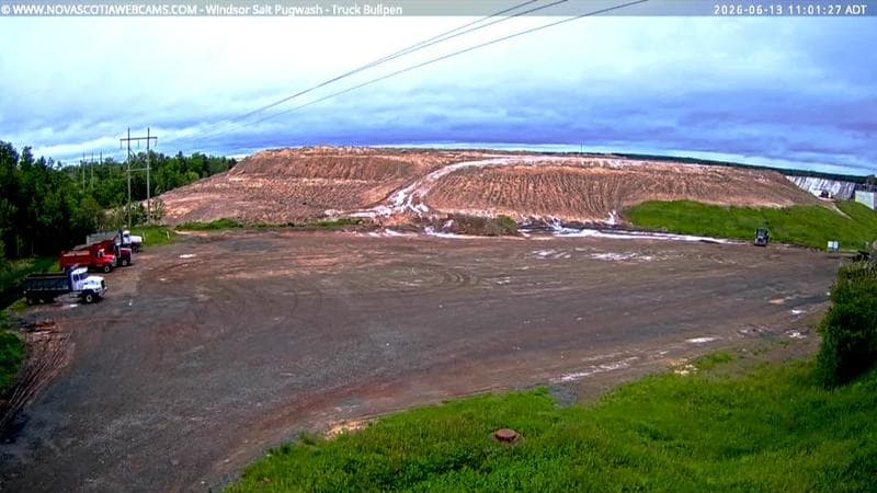 Windsor Salt