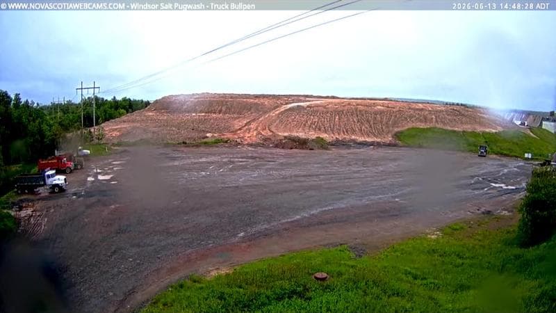 Windsor Salt