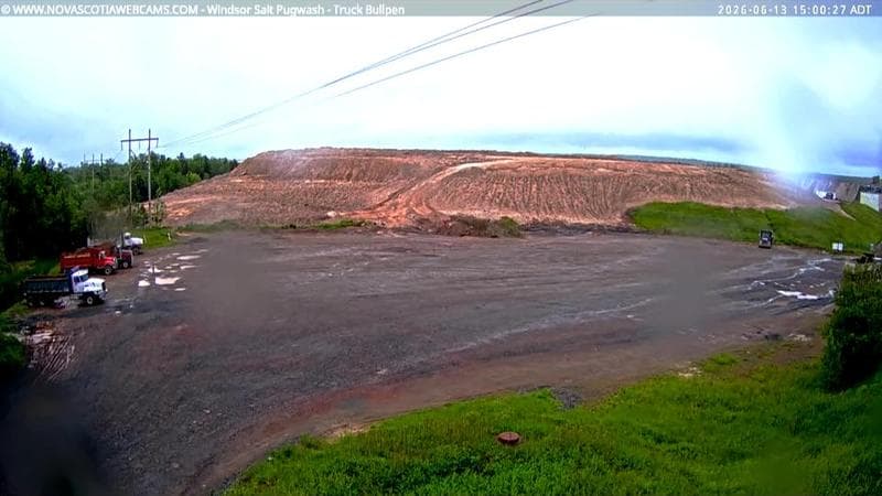 Windsor Salt