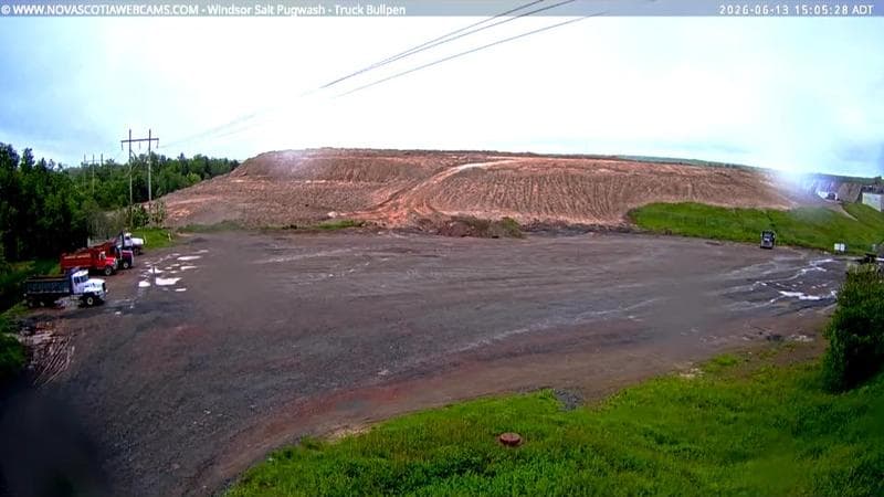 Windsor Salt