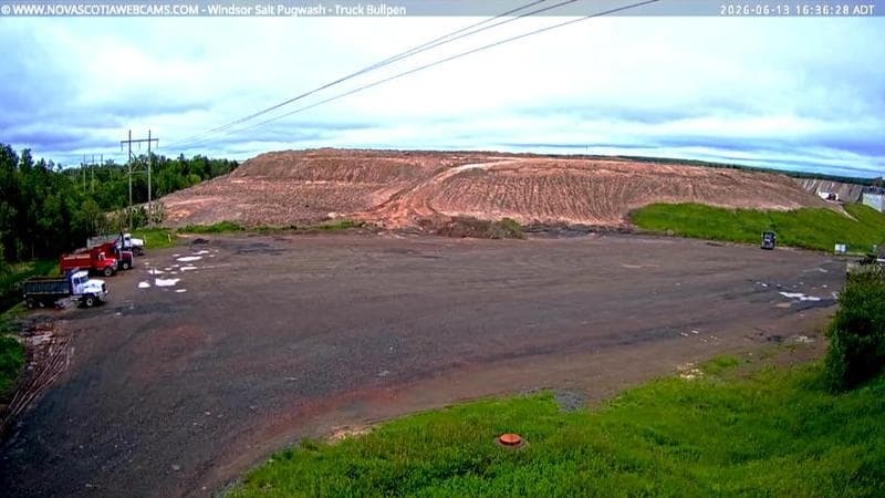 Windsor Salt