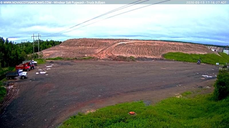 Windsor Salt